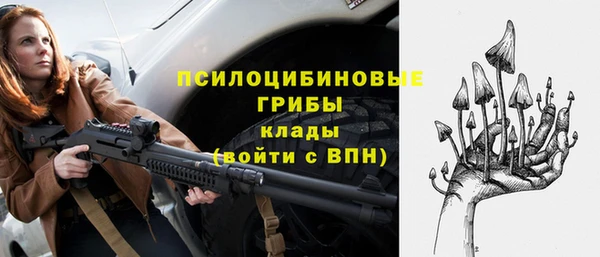 прущие грибы Осташков