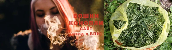прущие грибы Осташков