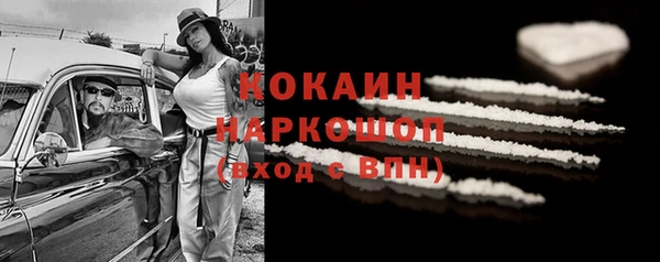 прущие грибы Осташков