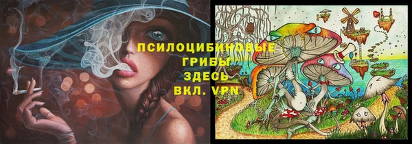 ECSTASY Осинники