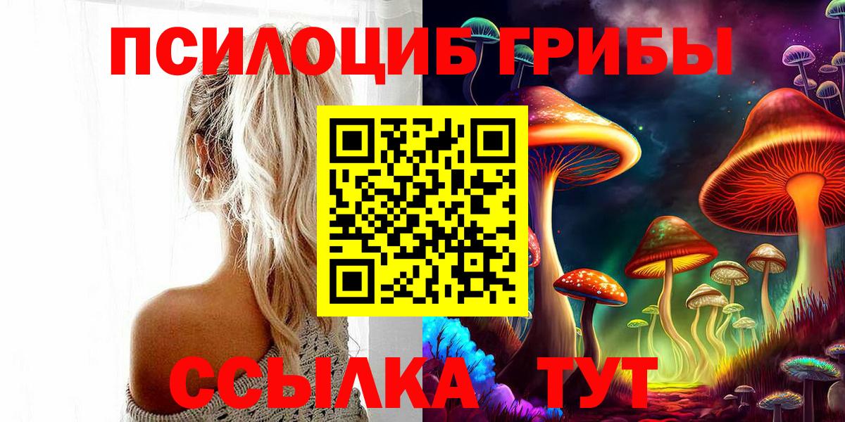 Ртищево  купить  цена  Вход с VPN  Галлюциногенные грибы мицелий 