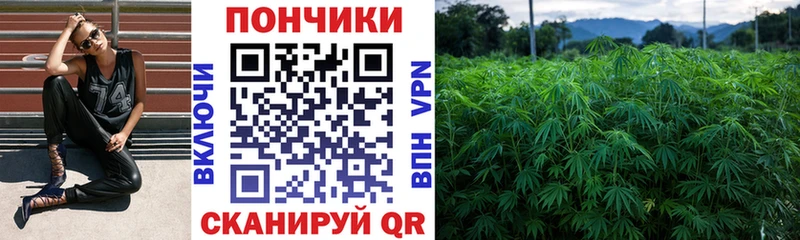 Конопля семена Ртищево